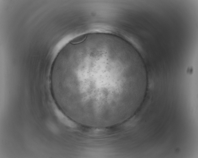X0000111151471200906301326