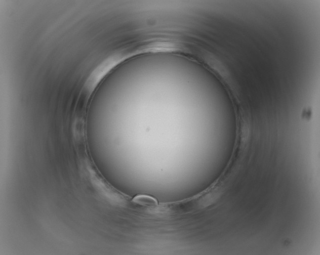 X0000111151473200906301326