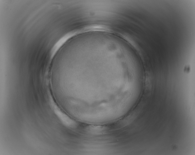 X0000111151474200906301326