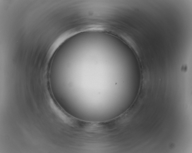 X0000111151475200906301326
