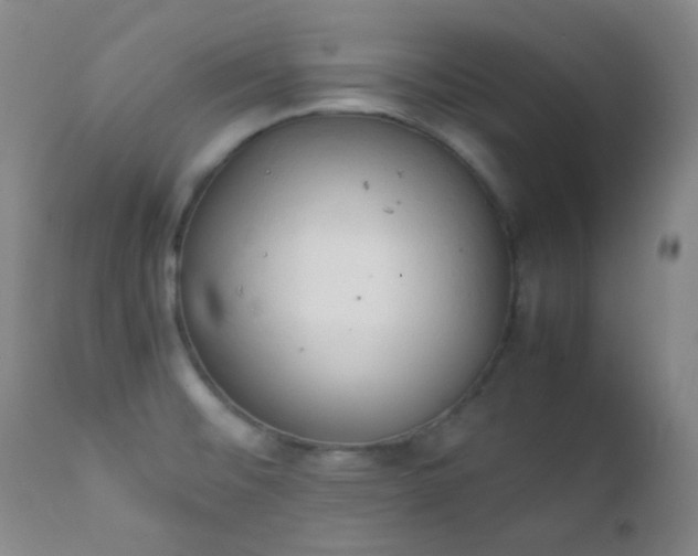 X0000111151476200906301326
