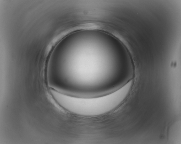 X0000111151477200906301326