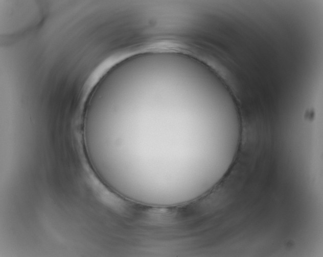 X0000111151478200906301326