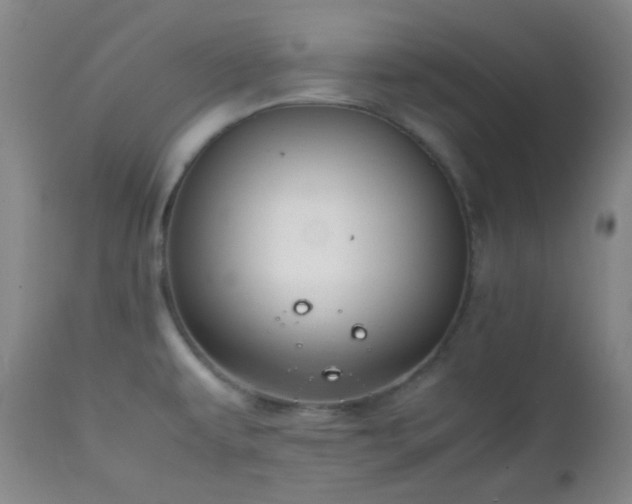 X0000111151479200906301326