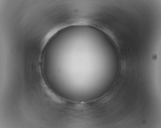 X0000111151480200906301326