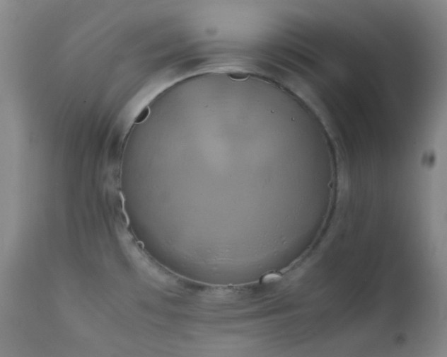 X0000111151481200906301326