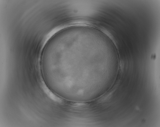 X0000111151482200906301326