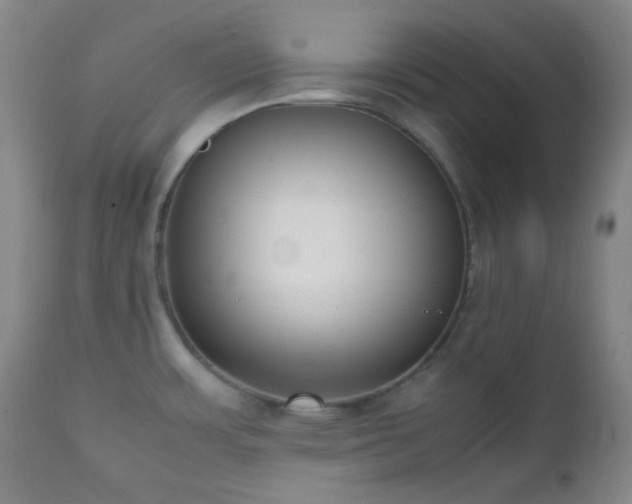 X0000111151483200906301326
