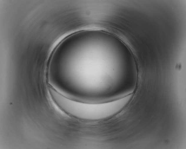 X0000111151484200906301326