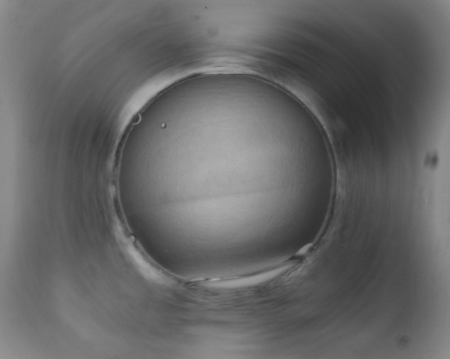 X0000111151485200906301326