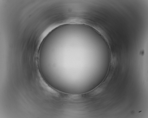 X0000111151486200906301326