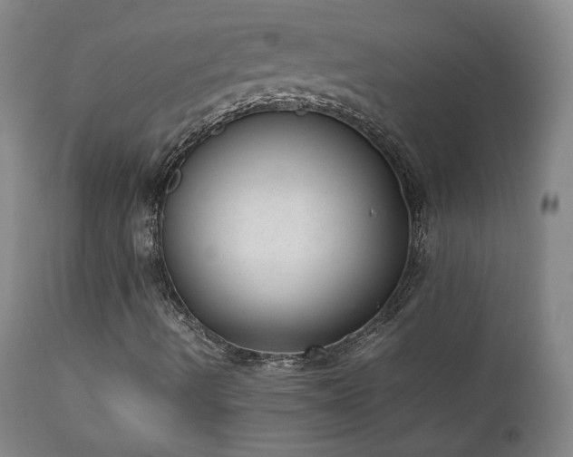 X0000111151490200906301325