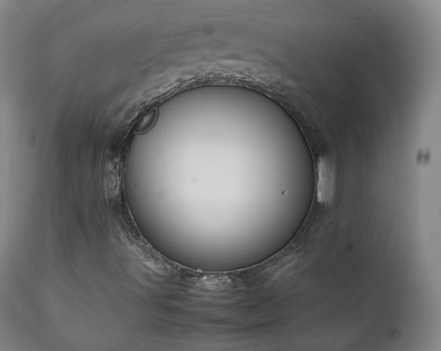 X0000111151491200906301325