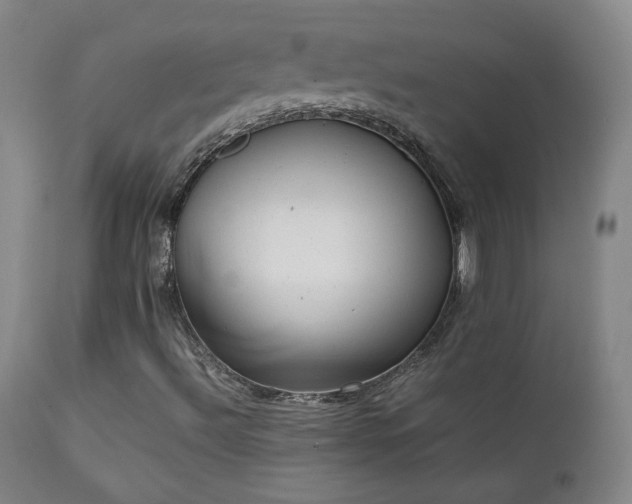 X0000111151492200906301325