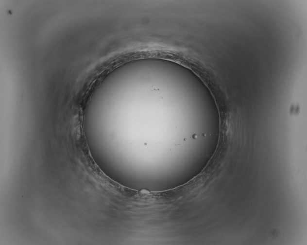 X0000111151493200906301325