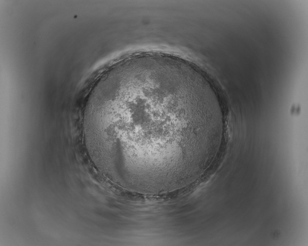 X0000111151494200906301325
