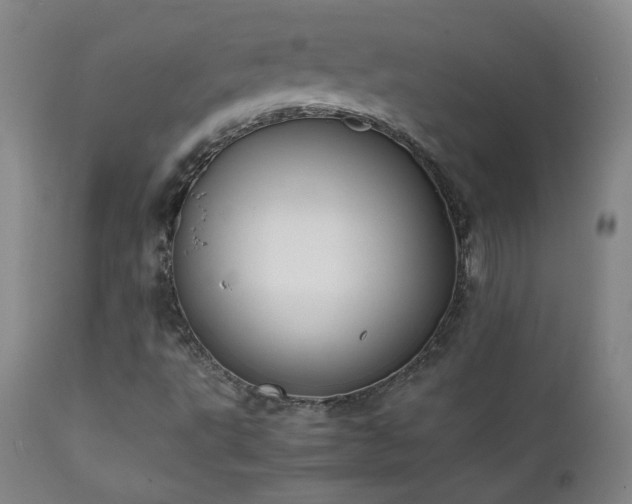 X0000111151495200906301325