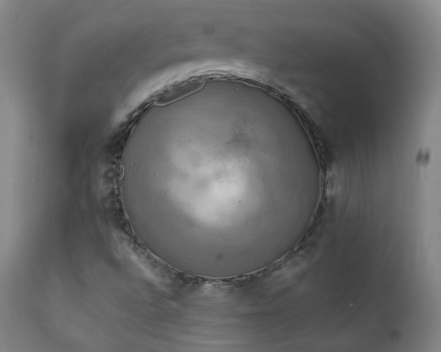 X0000111151496200906301325