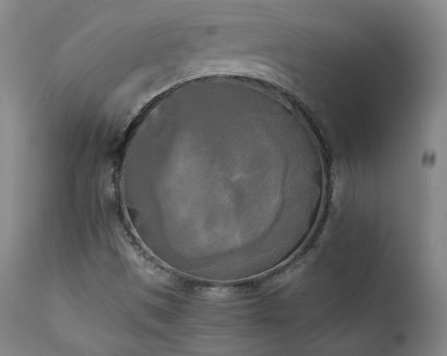 X0000111151497200906301325