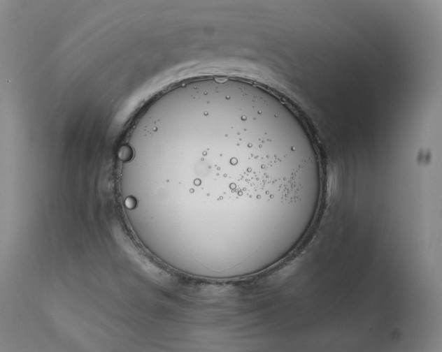 X0000111151498200906301325