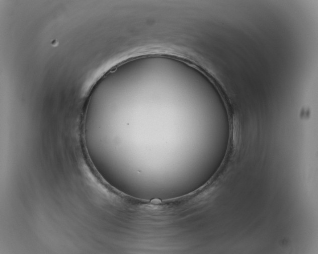 X0000111151500200906301325