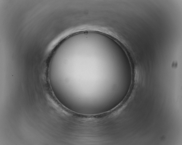 X0000111151502200906301325
