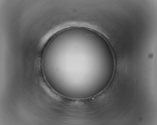 X0000111151503200906301325