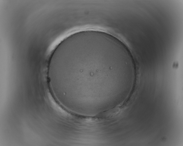X0000111151504200906301325