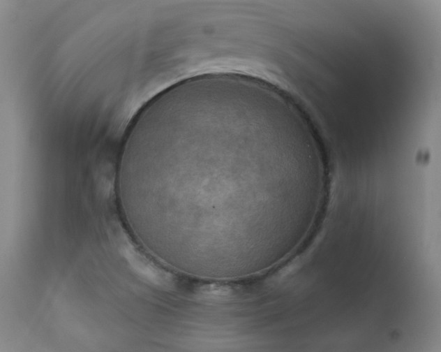 X0000111151505200906301325