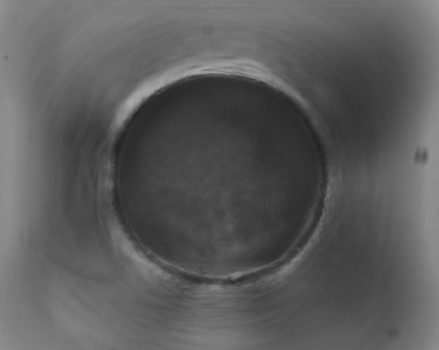 X0000111151506200906301325