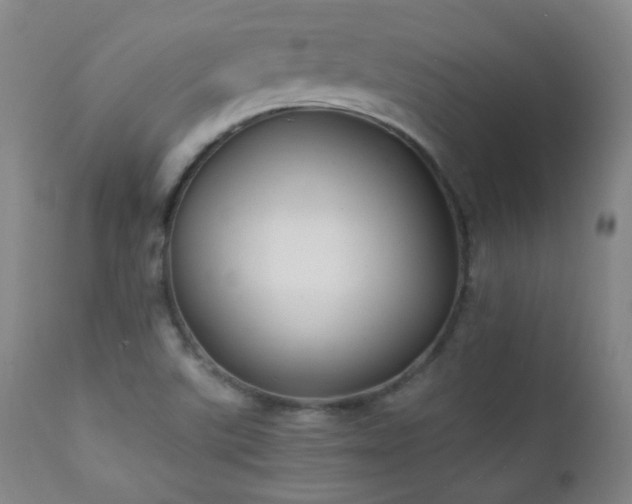 X0000111151507200906301325