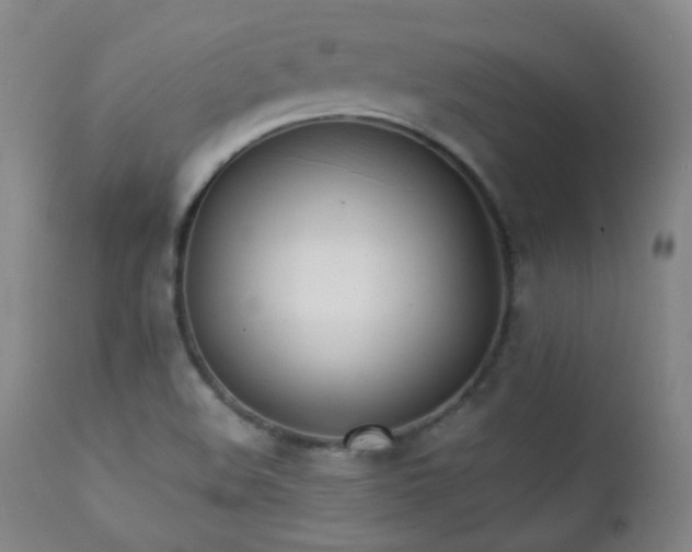 X0000111151508200906301325