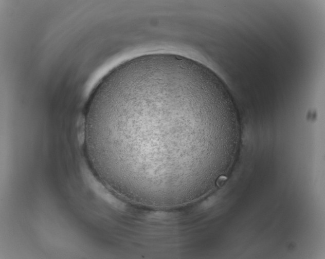 X0000111151510200906301325