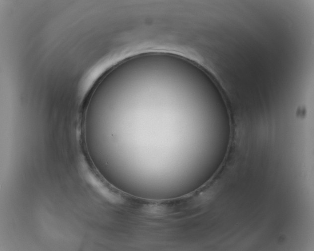 X0000111151511200906301325