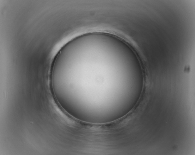 X0000111151512200906301325