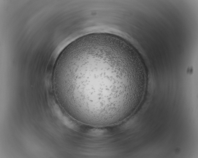 X0000111151513200906301325