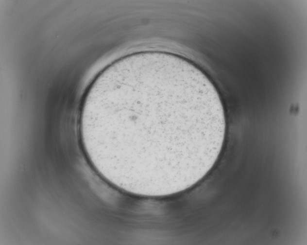 X0000111151514200906301325