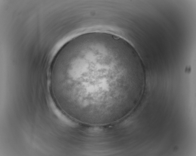 X0000111151515200906301325