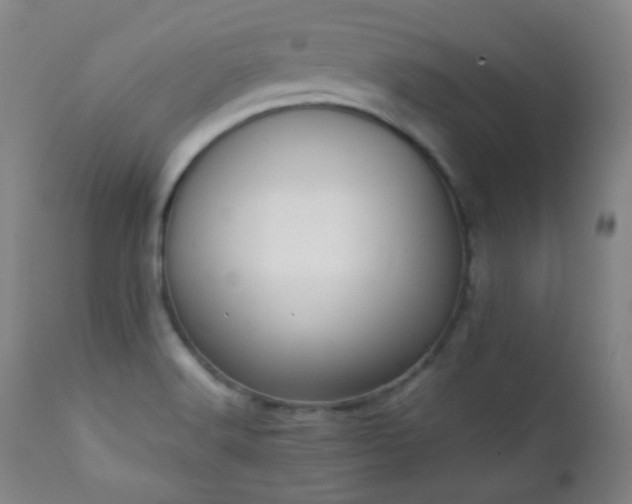 X0000111151516200906301325