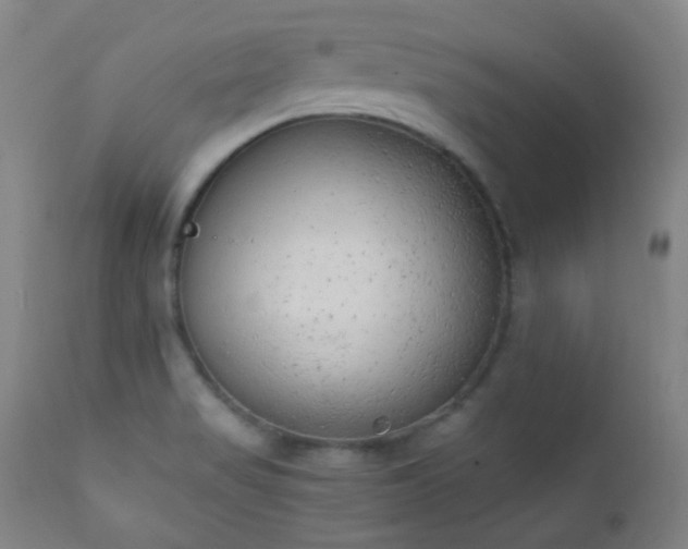 X0000111151517200906301325