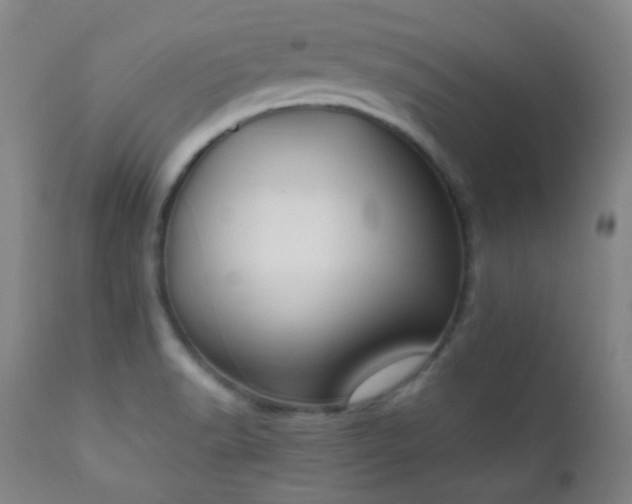 X0000111151518200906301325
