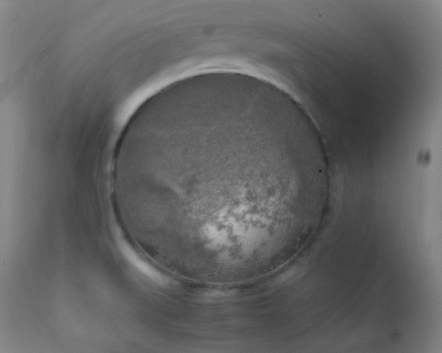 X0000111151519200906301325