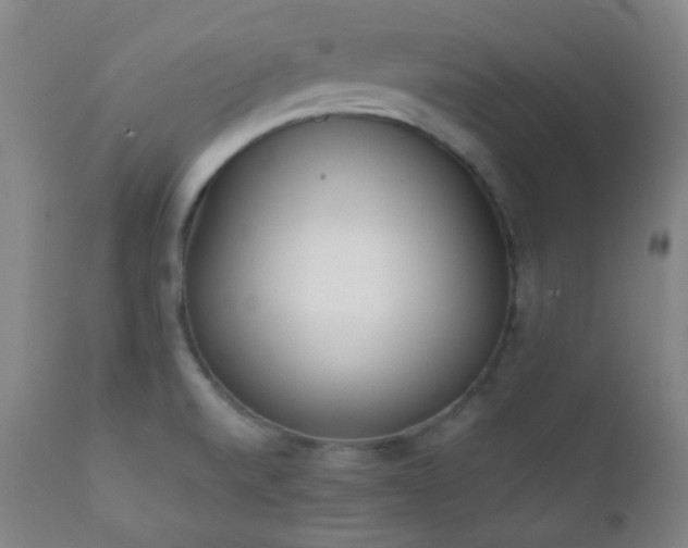 X0000111151520200906301325