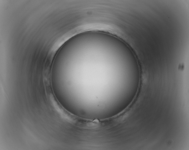 X0000111151521200906301325