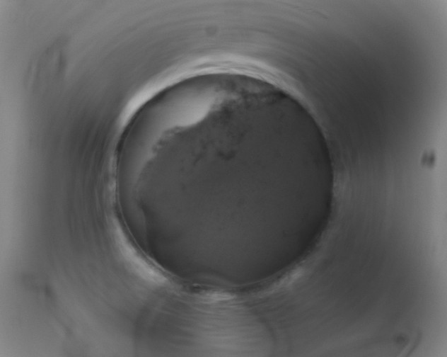 X0000111151522200906301325