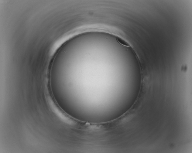 X0000111151523200906301325