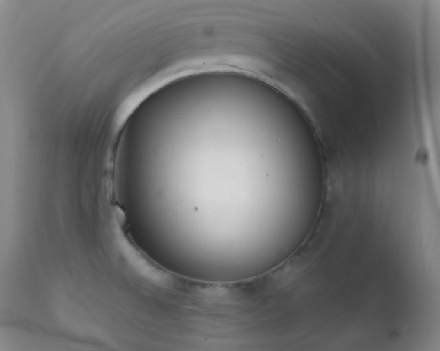 X0000111151524200906301325
