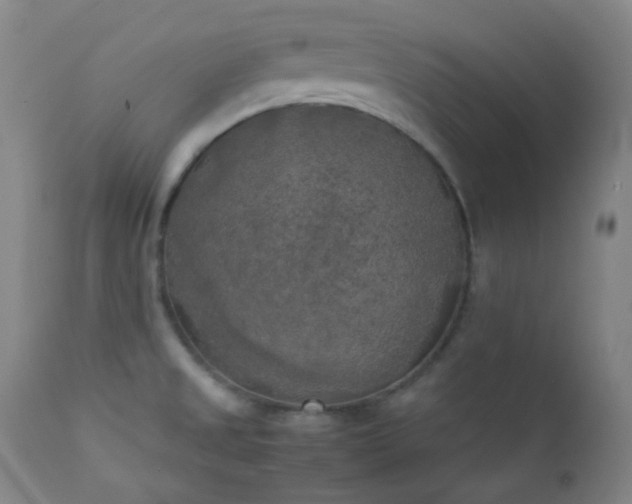 X0000111151525200906301325