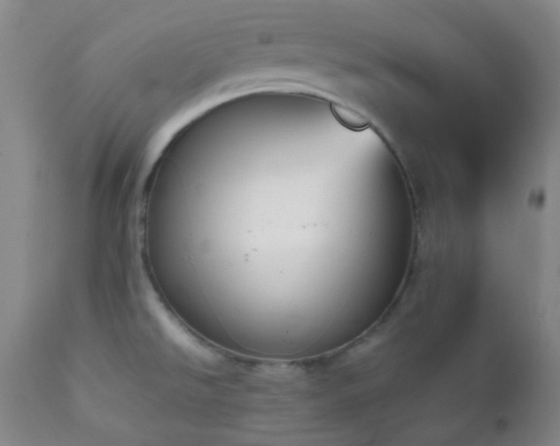 X0000111151526200906301325