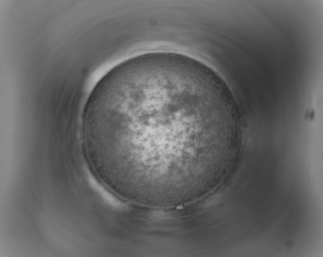 X0000111151527200906301325